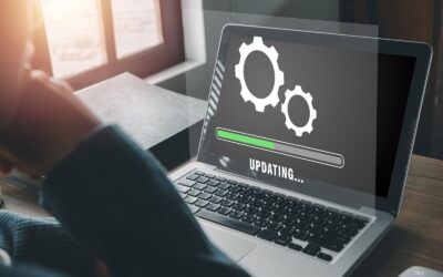 Ensuring Technology Delivers on its Capacity-building Promise: Rethinking how Unemployment Insurance Agencies Deliver Benefits